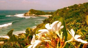 Tayrona santa marta Colombia
