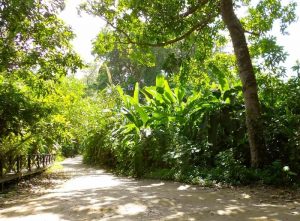 Parque Tayrona