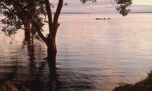Tramonto in Amazzonia