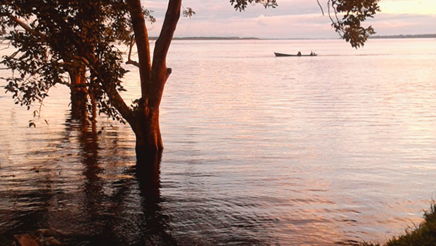 perché si vuol distruggere l'amazzonia