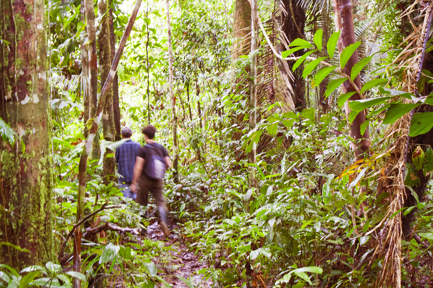 spedizione in amazzonia