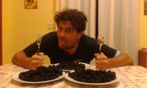 Raccolta di more