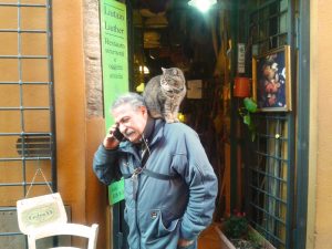 liutaio con gatto
