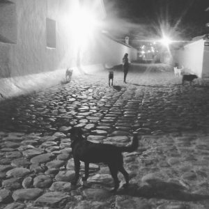 Foto dalla Colombia, sud America, cavalli a Villa de Leyva