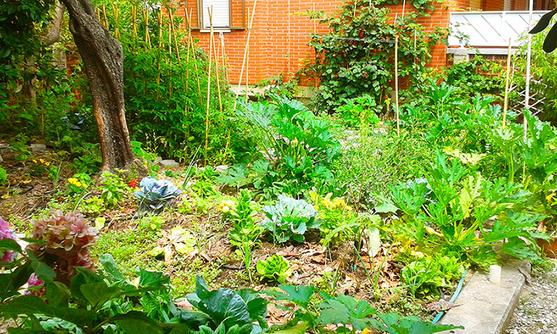 Come creare un orto sinergico e biologico, nella foto l'Eco B&B I due oleandri