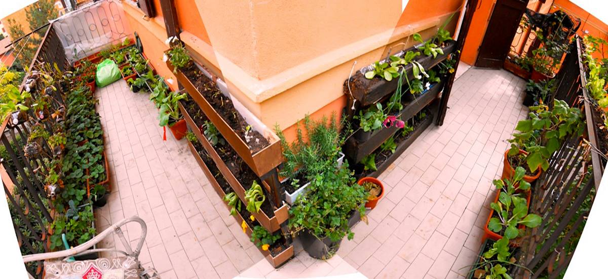 Orto sul balcone, orto verticale, permacultura