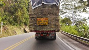 Percorrere le strade in sud America affittando moto o macchina