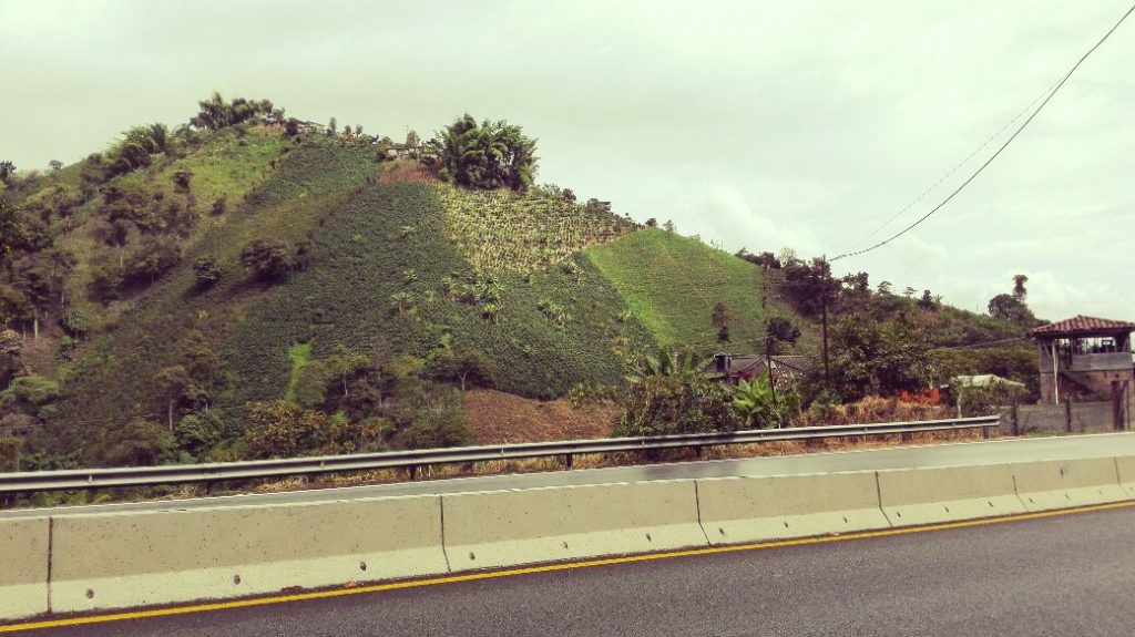 autostrada-del-caffe-manizales-pereira-colombia