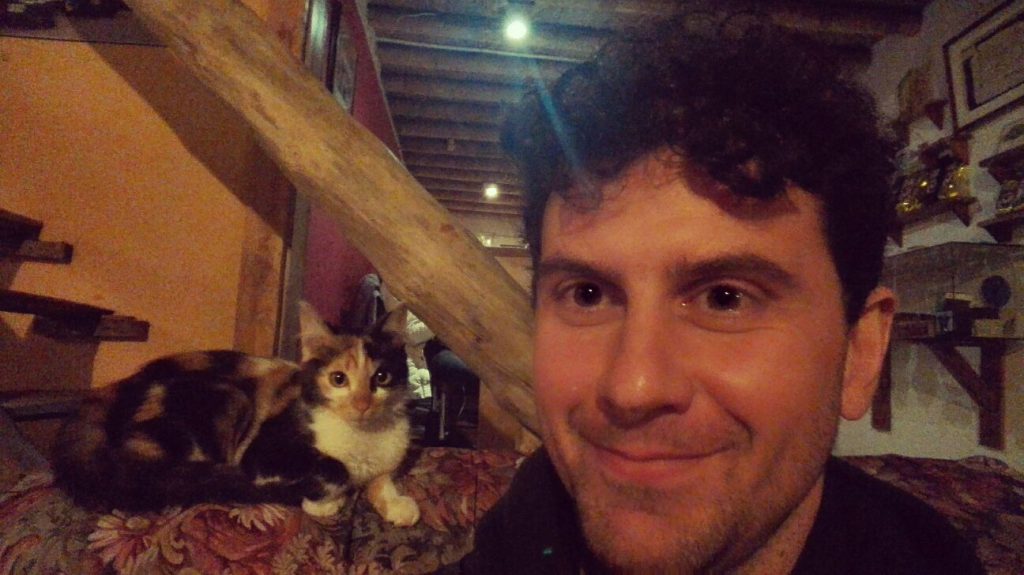 gatto-colombiano-eje-cafetero-quindio
