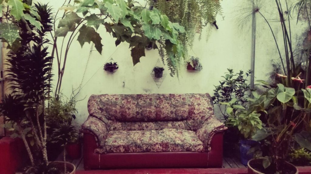 hostal-casa-de-lluvia-eje-cafetero-colombia