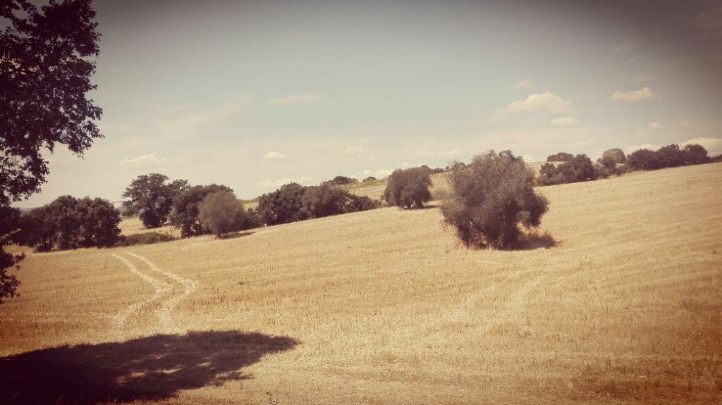 paesaggio-campagna-toscana.jpg