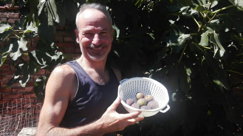 raccolta-fichi.jpg