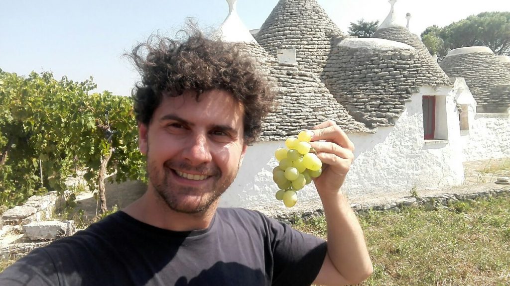 grappolo-duva-e-trullo