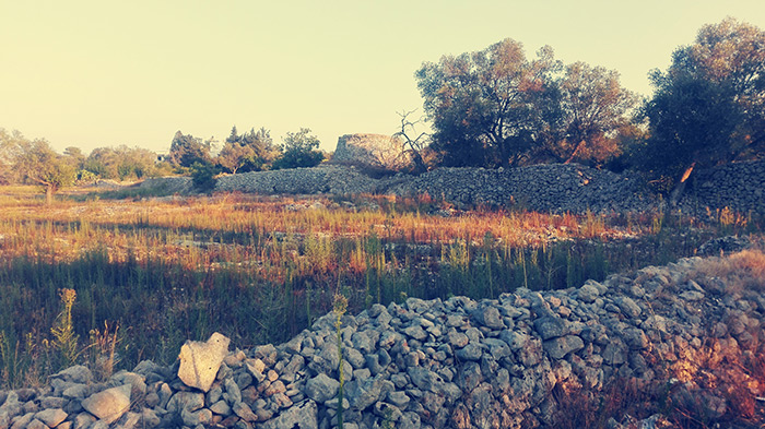 campagna galatone