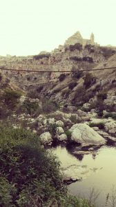 ponte sospeso parco dalla murgia