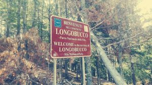 Longobucco, qui si trovano i Giganti di Cozzo