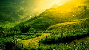 paesaggio rilassante e guarigione