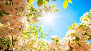 meditazione per l'equinozio di primavera