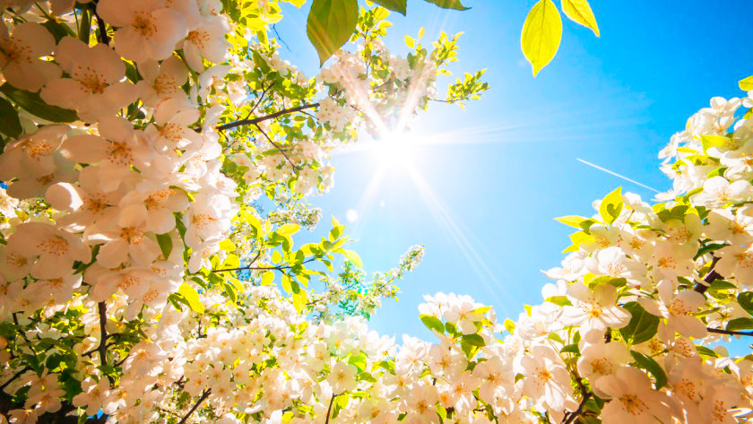 meditazione per l'equinozio di primavera