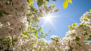 meditazione per l'equinozio di primavera