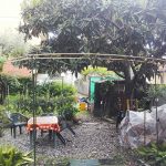 L'arco per far arrampicare le viti