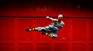 monaco shaolin, disciplina