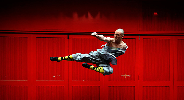 monaco shaolin, disciplina