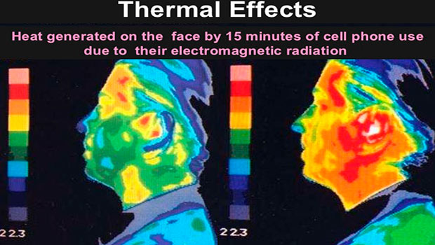 risultati test scientifici elettrosmog