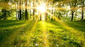 Rituale per l'Equinozio di Primavera
