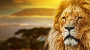 Lati luce segno Leone