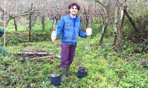 piantumazione alberi