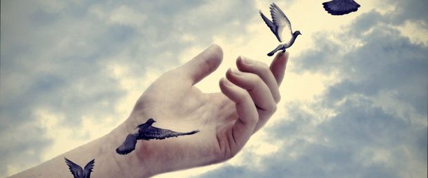 volare troppo in alto soluzione