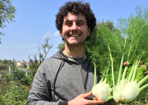 orto sinergico finocchi