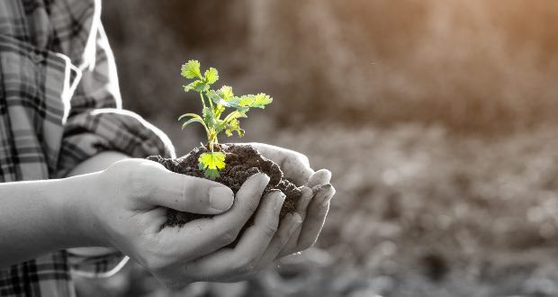 responsabilità nella spiritualità
