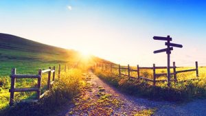 scegliere la strada nella vita