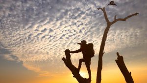 ricerca sul blog crescita personale