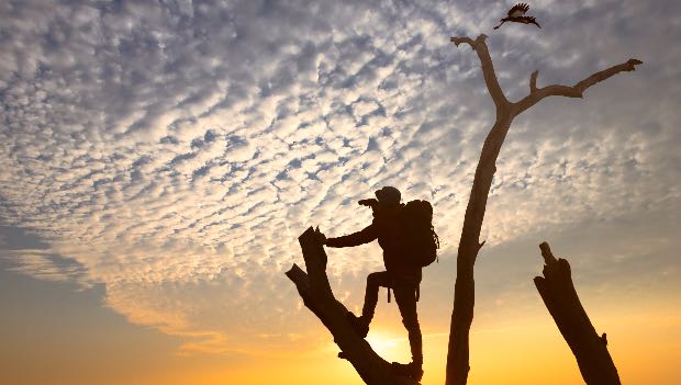 ricerca sul blog crescita personale