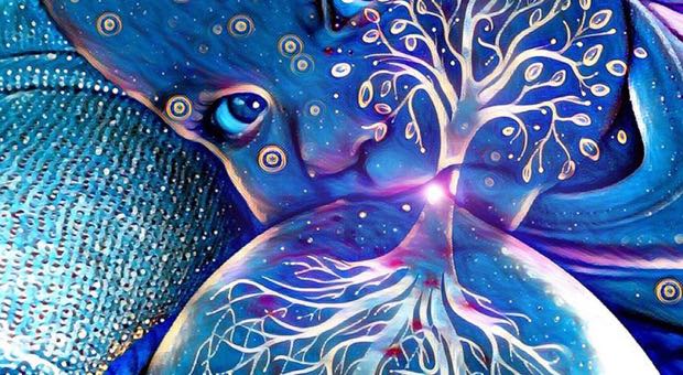 la vita è ciò che ti succede mentre stai facendo altri progetti