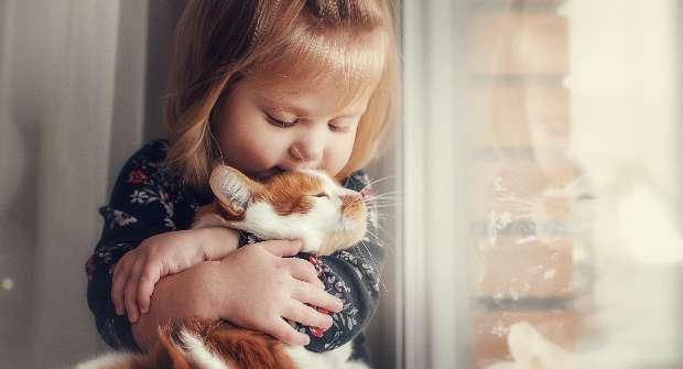 bambina con gatto