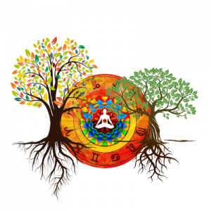 ciclo di costellazioni e lettura del tema natale ciclo di costellazioni e lettura del tema natale